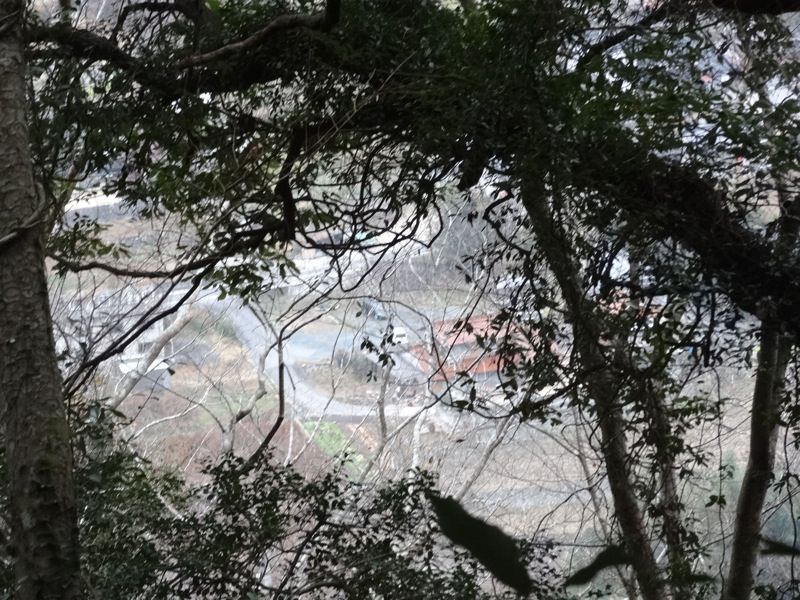 松山城の登山道から見た町の景色