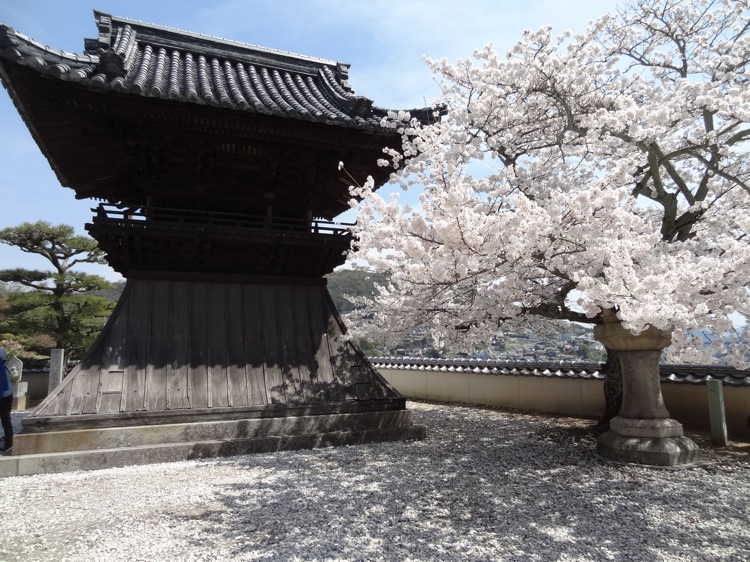 西国寺手前のお堂と桜