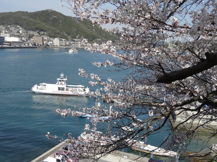 向島の桜と船と尾道