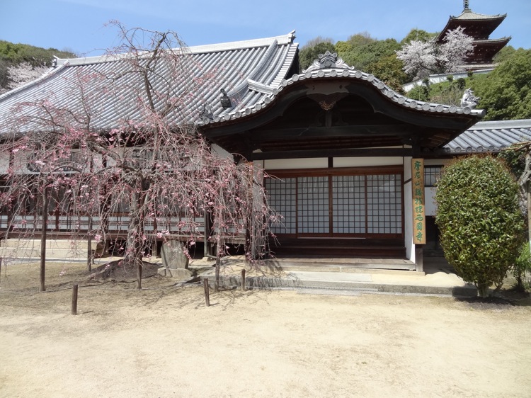尾道の西国寺