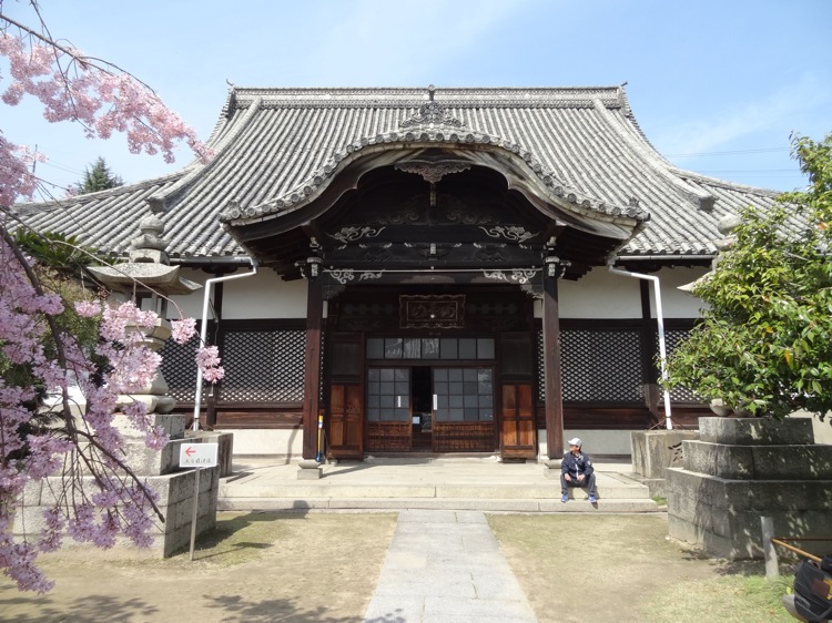 尾道 天寧寺と桜