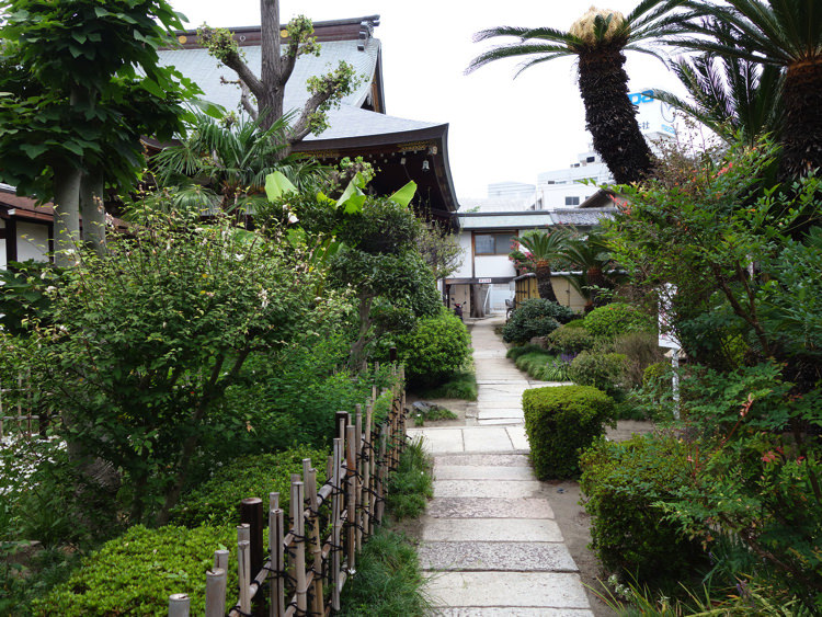 兵庫大仏横の庭園