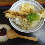 衣笠の穴子丼を食べるためだけに播州赤穂へ。赤穂城跡も軽く散策