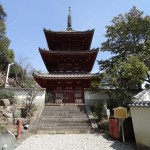 尾道の西国寺(さいこくじ)は桜との相性抜群で癒される場所だった