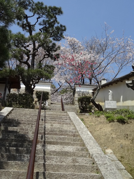 西国寺三重塔へ続く階段