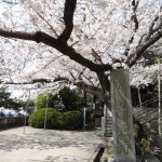 尾道の千光寺(せんこうじ)は日本有数の眺望スポットです