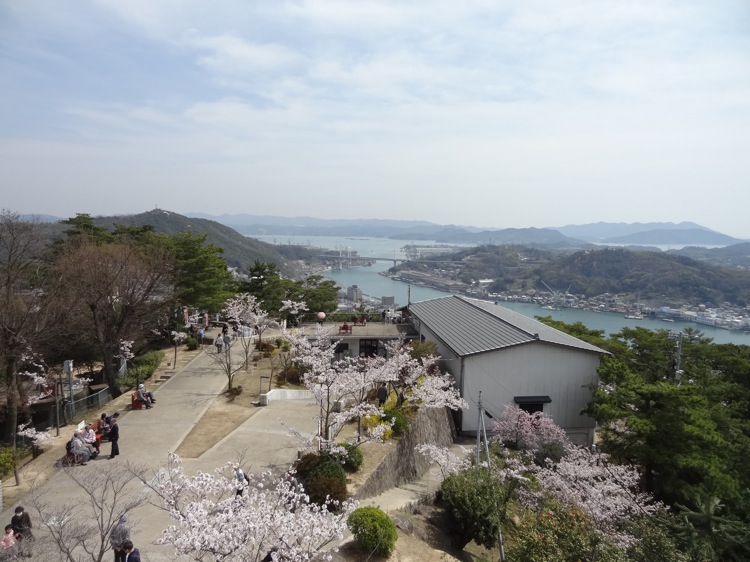 千光寺山展望台からの景色