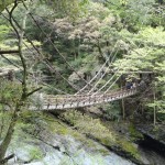 恐怖を感じながら渡る「祖谷のかずら橋」景色は抜群に良いです！