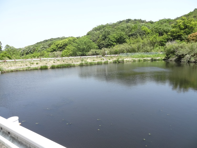 直島ダム手前の池