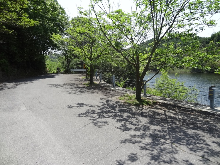 直島ダムの道路