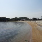 レンタサイクルで直島を一周！自転車だからこそ行けた場所の景色まとめ