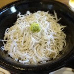 鎌倉大仏すぐ近くの「梅の木」で食べたしらす丼と蕎麦が美味しかった