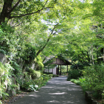 アサヒビール大山崎山荘美術館に赤ちゃん連れで行ってみた感想